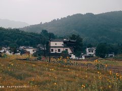 -塔川景区