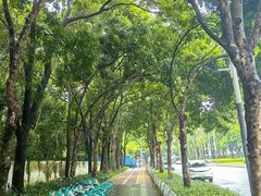 -科兴科学园