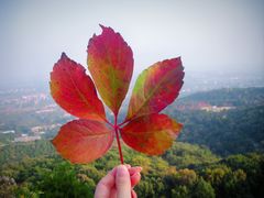 -北京西山国家森林公园