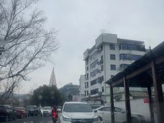 -龙游祖传豆腐丸