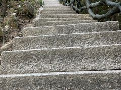 -梧桐山风景名胜区