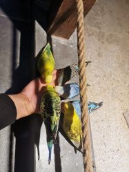 -酷嗒动物文化乐园(cutezoo西溪乐天城店)