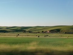 -顶顶汤火牛排火锅·经典铜锅涮肉