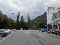 -广州市流溪河国家森林公园