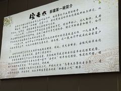 -安老太新疆第一碗(文艺路店)