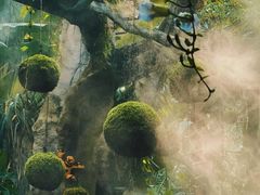 -新洲生态园