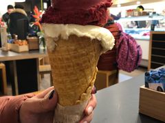 -Patagonia Chocolates(皇后镇店)