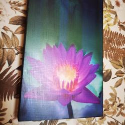 -iSpa