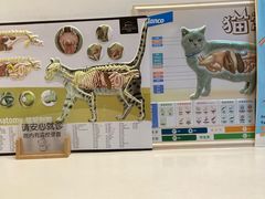 -御宝贝·A梦猫科宠物医院(国际猫友好医院)