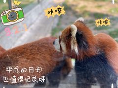 -苏州太湖西山岛开心农场