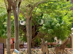 -灵玲国际马戏城