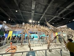 -国家自然博物馆