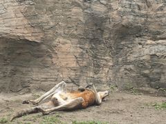 -齐齐哈尔龙沙动植物园