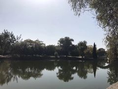 -渭滨公园