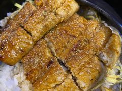 鳗鱼饭（小份）-平川日本料理