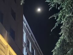 -勇利赵家烤肉坊(翠华北路店)