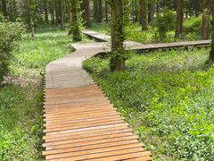 -国家植物园南园