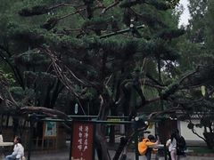 -大慈恩寺(大雁塔)