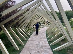 -莫子山公园