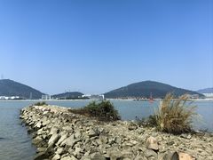 -芒洲湿地公园