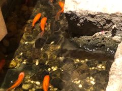 -邈墨茶馆(凤起路店)