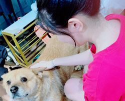 -米莱摄影写真(五大道别墅店)