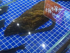 -宝轩渔府·老字号海鲜·正宗津菜(水上店)