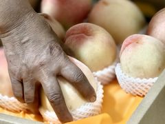 -老袁家蜜桃农场·阳山水蜜桃