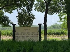 -龙谕酒庄