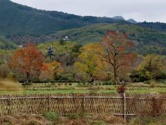 -塔川景区