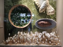 -杭州西湖丝绸文化博物馆