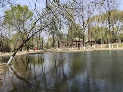 -长白岛森林公园