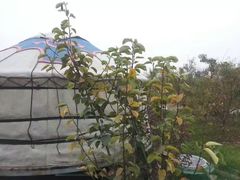 -万源龙顺度假庄园生态观光园