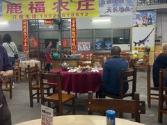 -鹿福农庄(南沙天后宫店)
