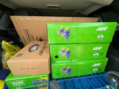 -马陆小张葡萄园农家乐