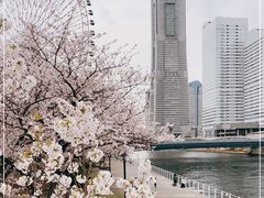 -横滨地标大厦