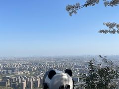 -杭州半山国家森林公园