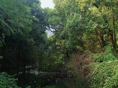 -南山植物园