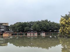 -大湾区中央湿地公园