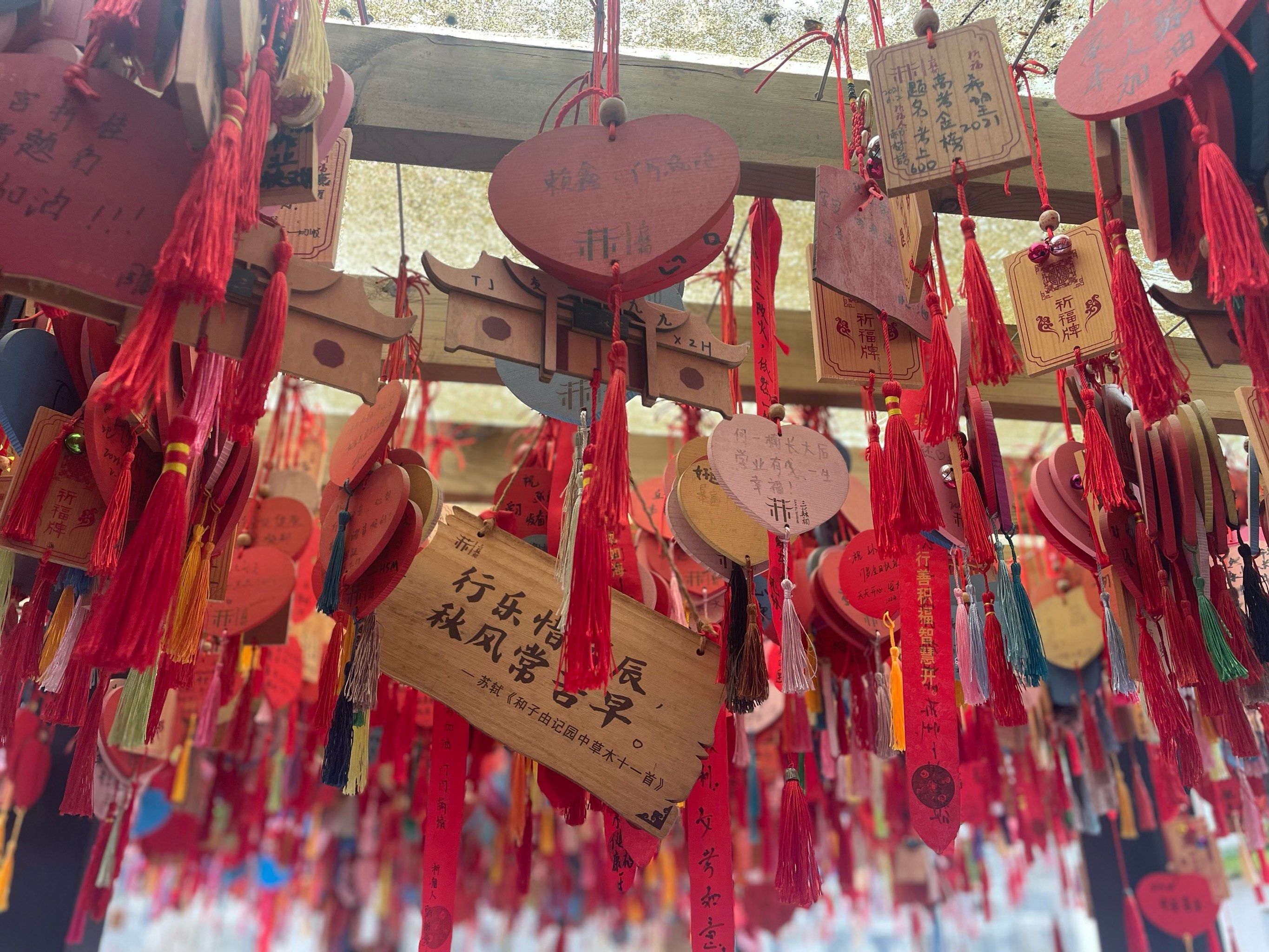 n
已经挂满了许愿牌牌.