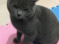 -太原东方动物医院(小店分院)