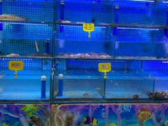 -前王院•巧克力海鲜市集餐厅(万平口店)