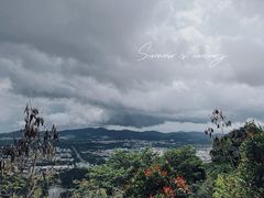 -阳台山森林公园
