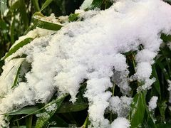 -南城十里潮汕鲜牛火锅·鲜虾生滚粥(融汇老商埠店)