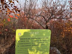 -周口店坡峰岭风景区