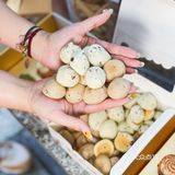 国风墨茉点心局   AFTER弄店
