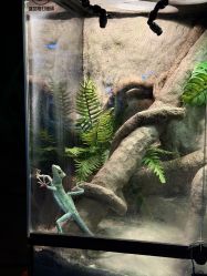 -酷嗒动物文化乐园(cutezoo西溪乐天城店)