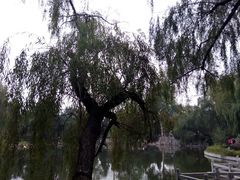 android_upload_pic-南阳卧龙岗武侯祠