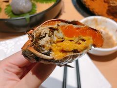 -旺小胖小龙虾