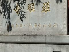 -五台山风景名胜区-罗睺寺
